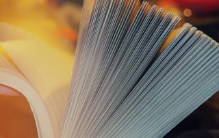 denise joy hart, 26 pages