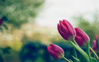 recession proof mindset